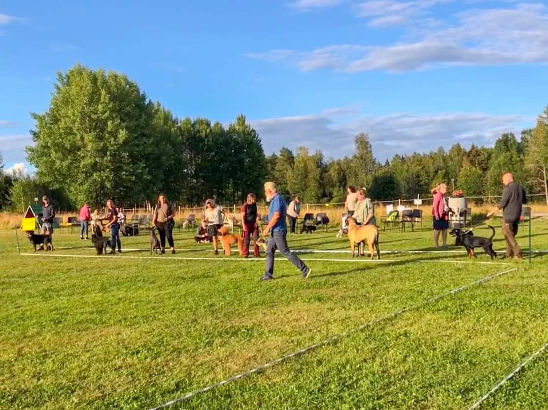 Övriga Sverige
