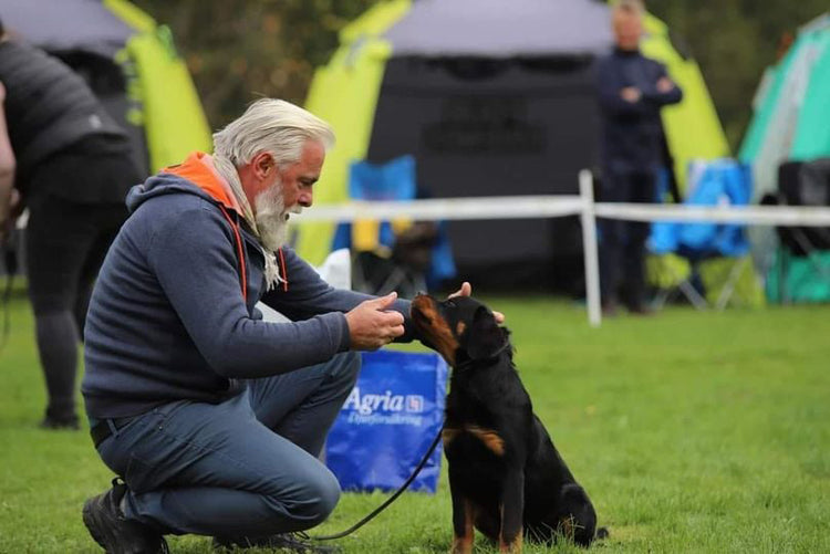 Rottweiler valpkurs