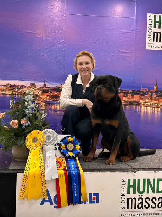 TÄVLING utställningsträning i Stockholm Norra (inomhus)