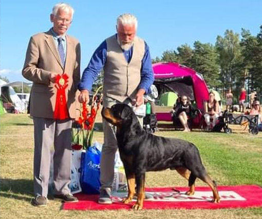 22-23/8: Utställningsträning i Karltorp/ Arboga - För alla raser, åldrar och storlekar