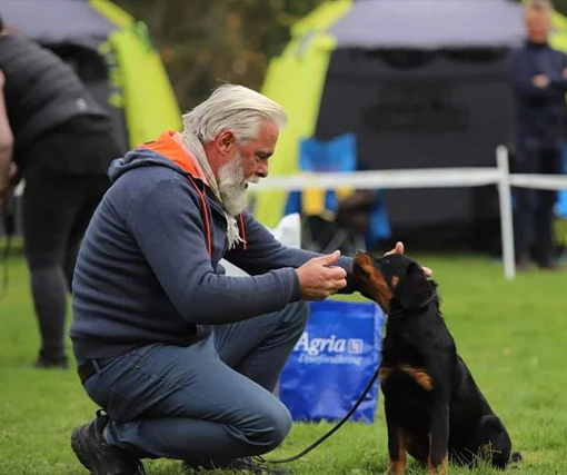 17-18/10: Rottweiler valpkurs i Karltorp (Arboga/Örebro)